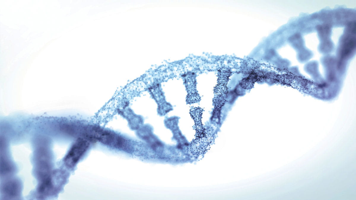 DNA